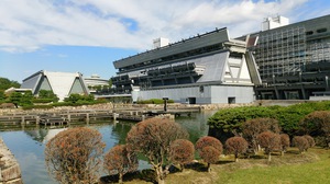 DSC_0162.JPGのサムネイル画像