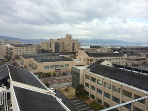 IMG_2408.jpg