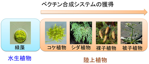 index_img02.jpg